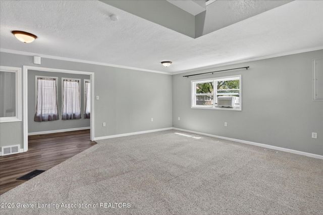217 North Street, Mulliken, MI 48861