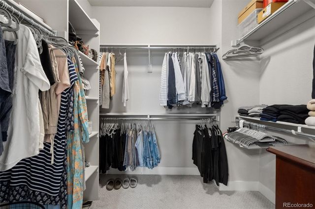 3321 Red Mountain Drive, Loveland, CO 80538