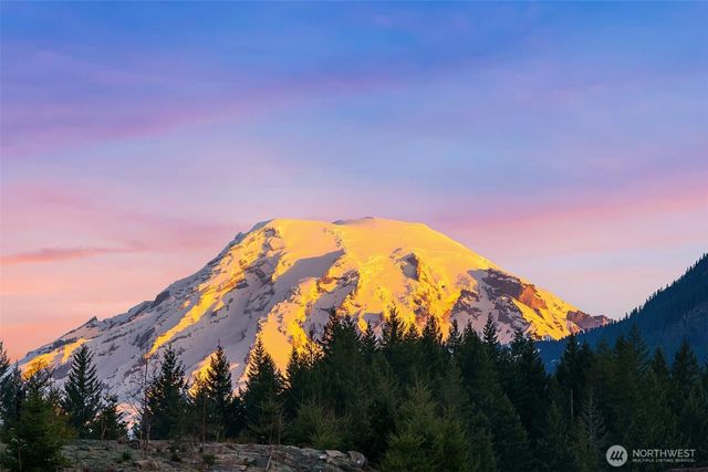 126 Burl Lane, Packwood, WA 98361