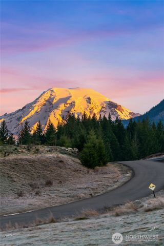 126 Burl Lane, Packwood, WA 98361