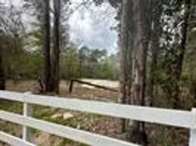 7389 Teaswood Drive, Conroe, TX 77304