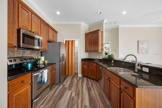 463 BAYOU VILLAGE DRIVE, Tarpon Springs, FL 34689