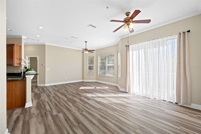 463 BAYOU VILLAGE DRIVE, Tarpon Springs, FL 34689