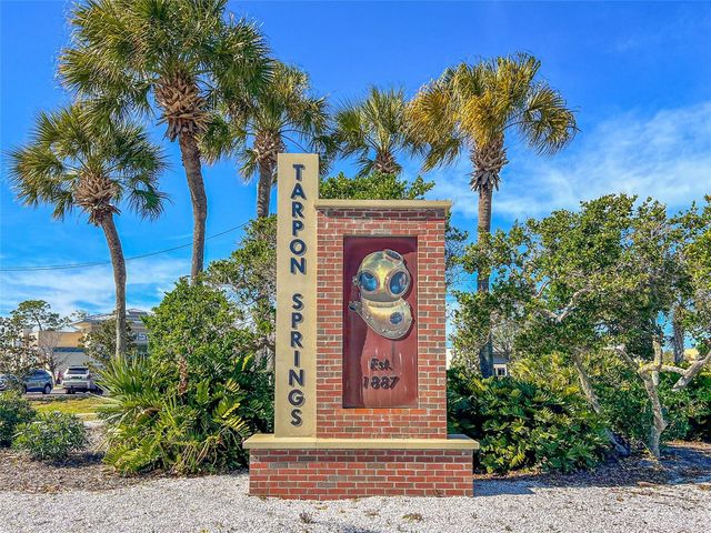 463 BAYOU VILLAGE DRIVE, Tarpon Springs, FL 34689