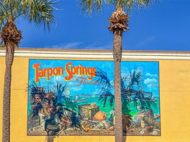 463 BAYOU VILLAGE DRIVE, Tarpon Springs, FL 34689