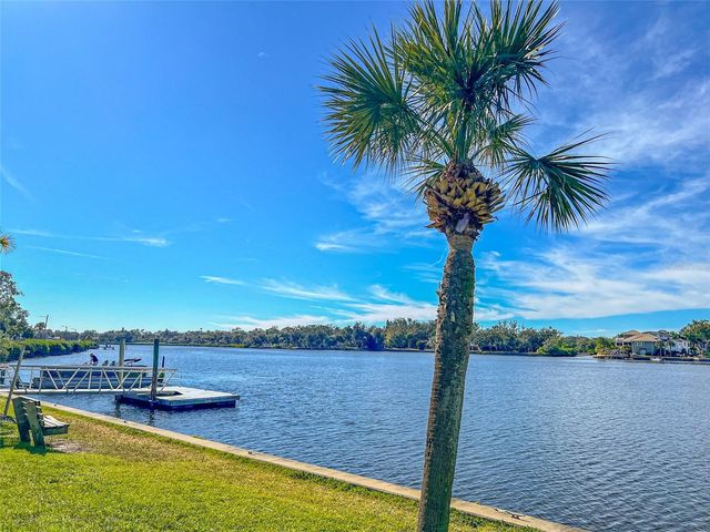 463 BAYOU VILLAGE DRIVE, Tarpon Springs, FL 34689