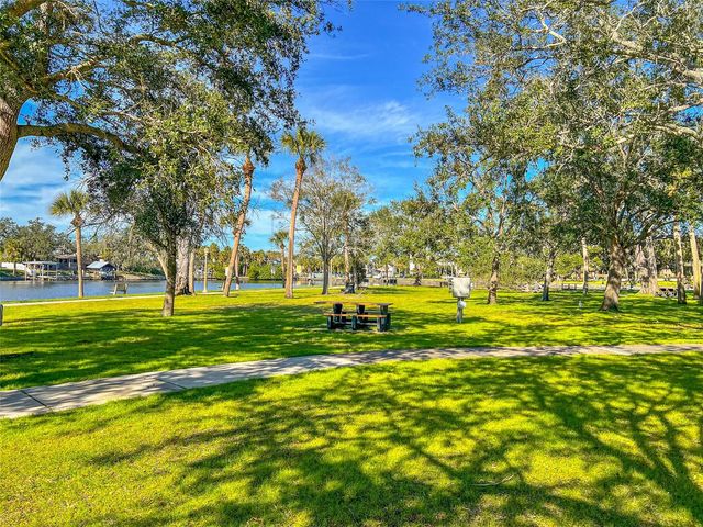 463 BAYOU VILLAGE DRIVE, Tarpon Springs, FL 34689