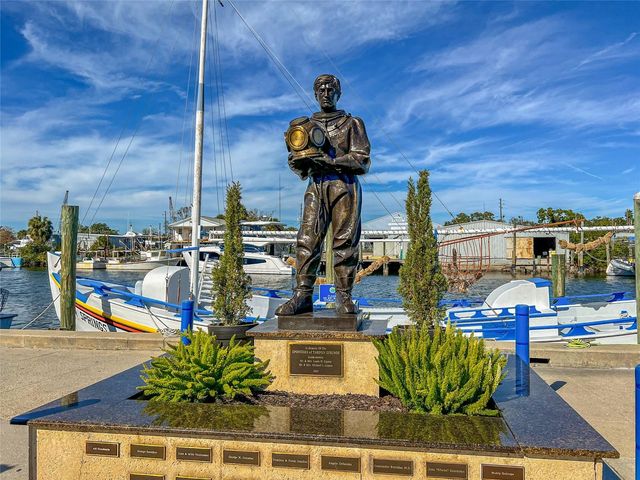 463 BAYOU VILLAGE DRIVE, Tarpon Springs, FL 34689