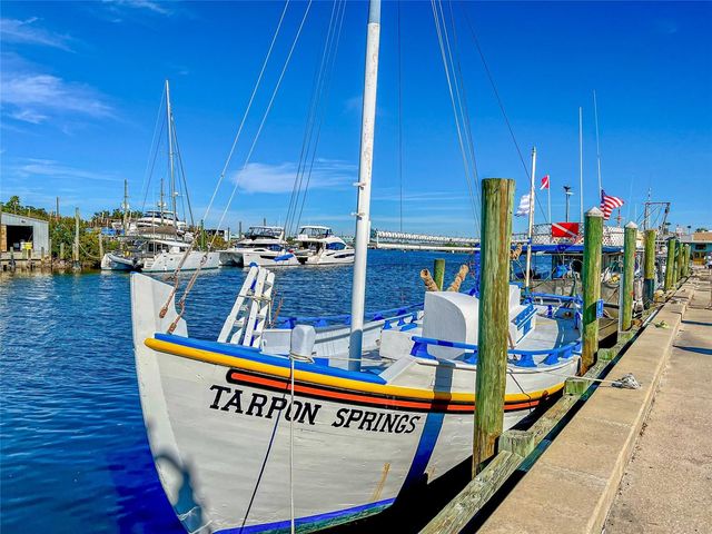 463 BAYOU VILLAGE DRIVE, Tarpon Springs, FL 34689