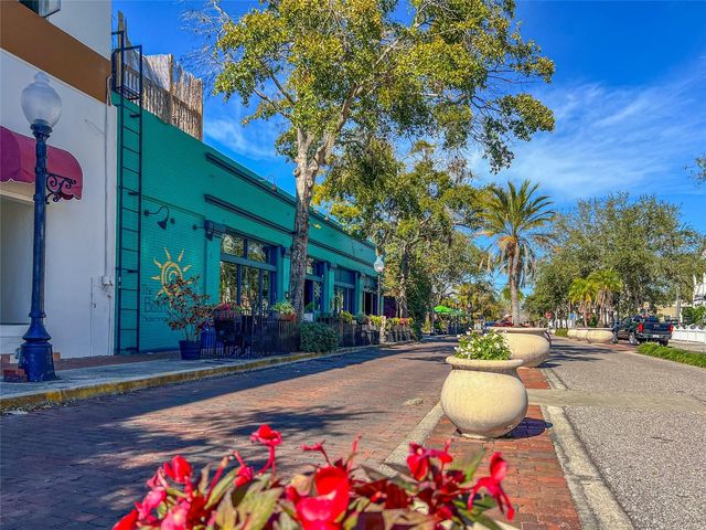 463 BAYOU VILLAGE DRIVE, Tarpon Springs, FL 34689