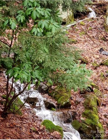 343 Chestnut Village, Mars Hill, NC 28754