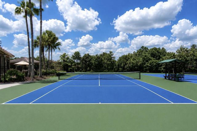 17446 QUEENSLAND STREET, Land O Lakes, FL 34638