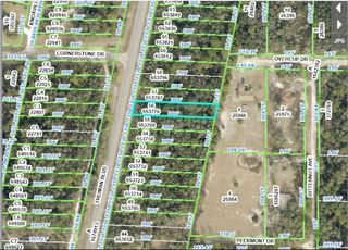 8086 TREIMAN BLVD BOULEVARD, Webster, FL 33597