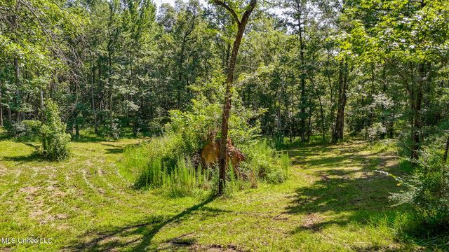 114 Mustang Drive, Wesson, MS 39191