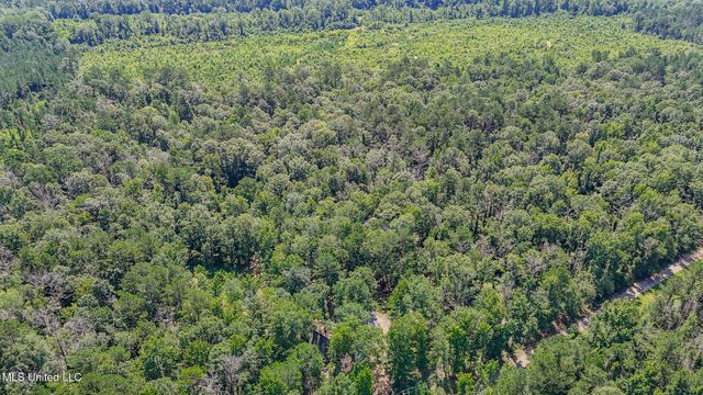 114 Mustang Drive, Wesson, MS 39191