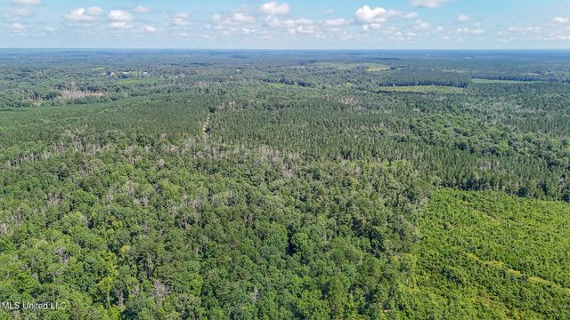 114 Mustang Drive, Wesson, MS 39191