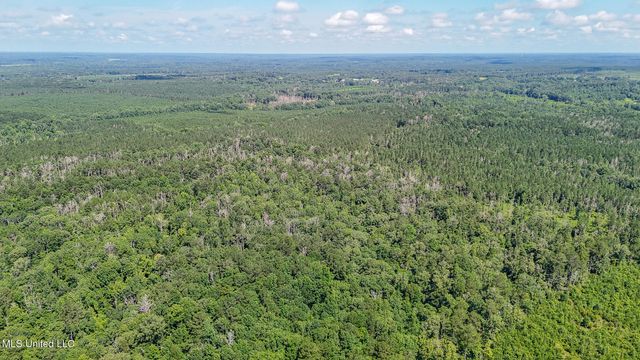 114 Mustang Drive, Wesson, MS 39191