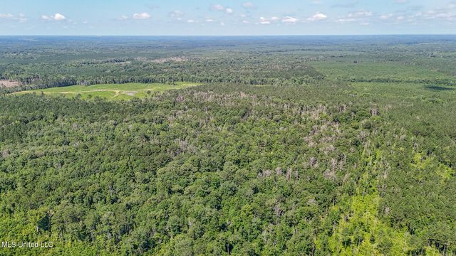 114 Mustang Drive, Wesson, MS 39191