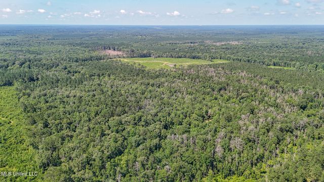114 Mustang Drive, Wesson, MS 39191