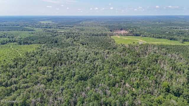 114 Mustang Drive, Wesson, MS 39191