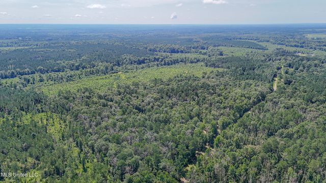114 Mustang Drive, Wesson, MS 39191