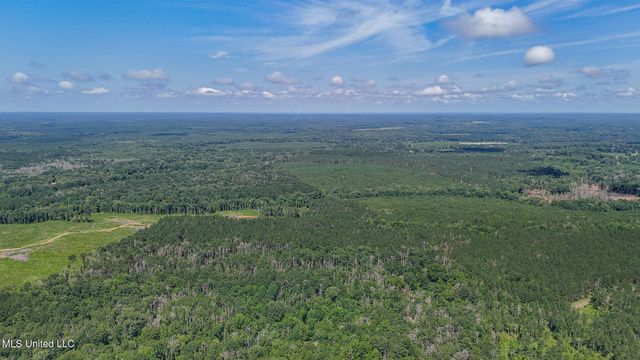 114 Mustang Drive, Wesson, MS 39191