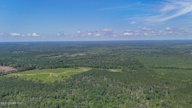 114 Mustang Drive, Wesson, MS 39191
