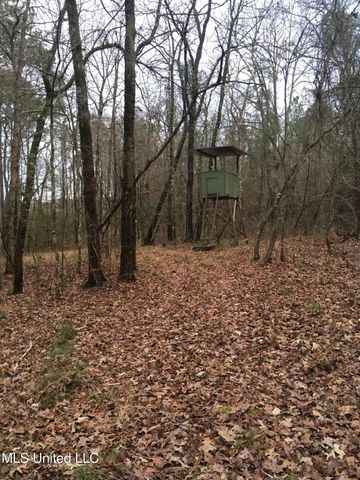 114 Mustang Drive, Wesson, MS 39191
