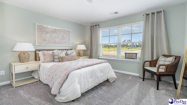 564 Strawberry Field Way, Galivants Ferry, SC 29544