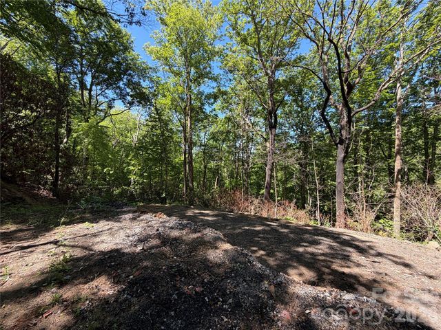25 Buck Ridge Road, Fairview, NC 28730