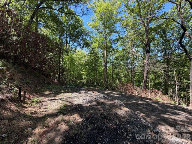 25 Buck Ridge Road, Fairview, NC 28730
