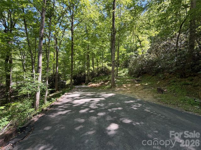 25 Buck Ridge Road, Fairview, NC 28730