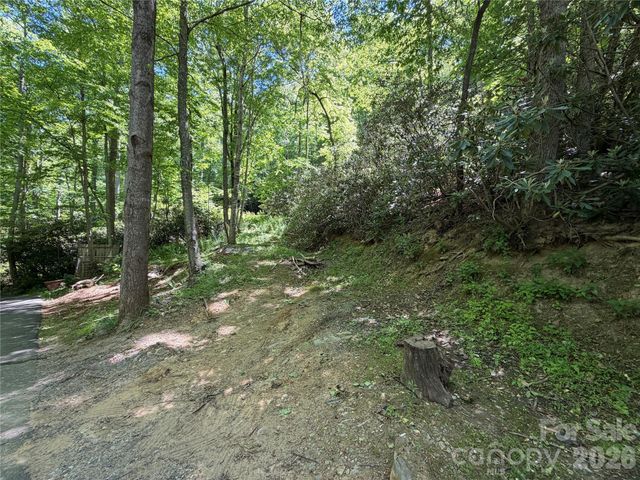 25 Buck Ridge Road, Fairview, NC 28730