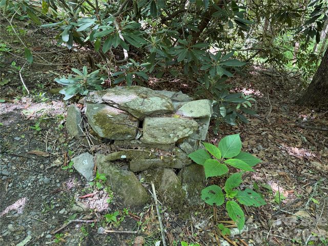 25 Buck Ridge Road, Fairview, NC 28730