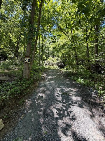 25 Buck Ridge Road, Fairview, NC 28730