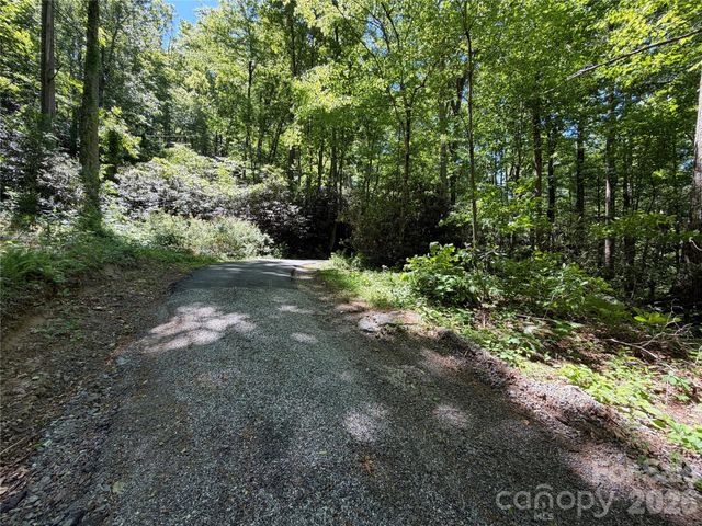 25 Buck Ridge Road, Fairview, NC 28730