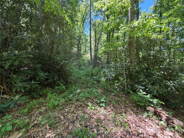 25 Buck Ridge Road, Fairview, NC 28730