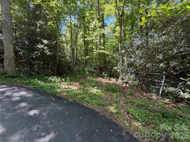 25 Buck Ridge Road, Fairview, NC 28730