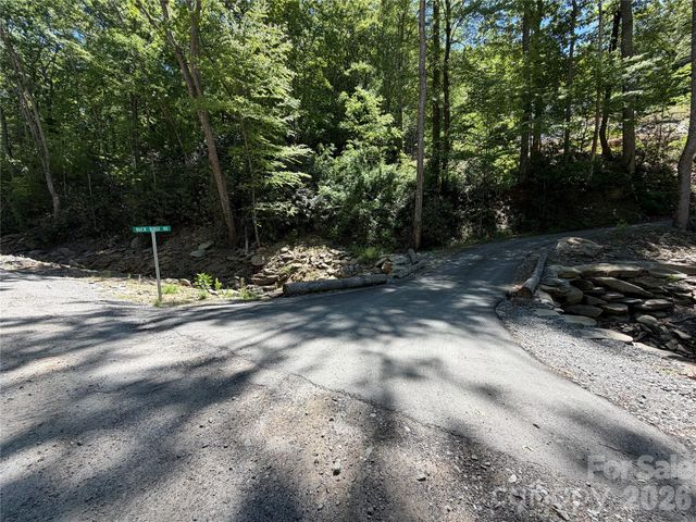 25 Buck Ridge Road, Fairview, NC 28730