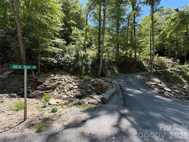 25 Buck Ridge Road, Fairview, NC 28730