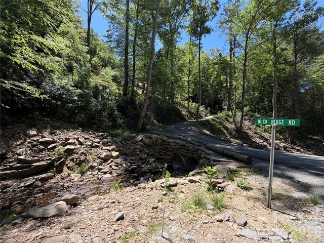 25 Buck Ridge Road, Fairview, NC 28730