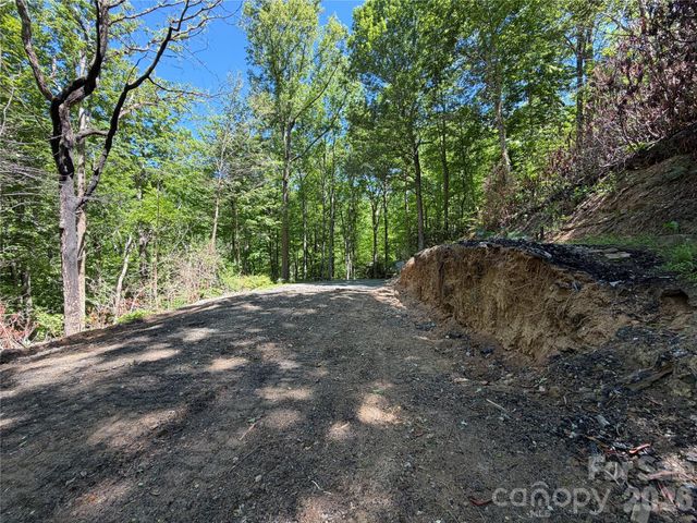 25 Buck Ridge Road, Fairview, NC 28730