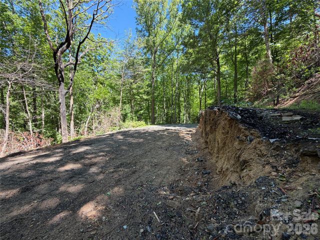 25 Buck Ridge Road, Fairview, NC 28730