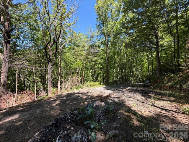 25 Buck Ridge Road, Fairview, NC 28730