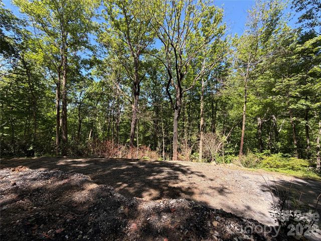 25 Buck Ridge Road, Fairview, NC 28730