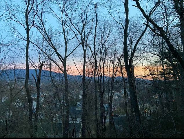 713 Oakview DR, Salem, VA 24153