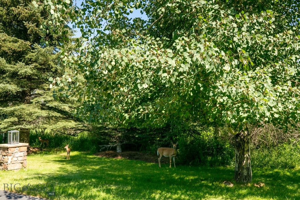 30 Gardner Park, Bozeman, MT 59715 photo 58