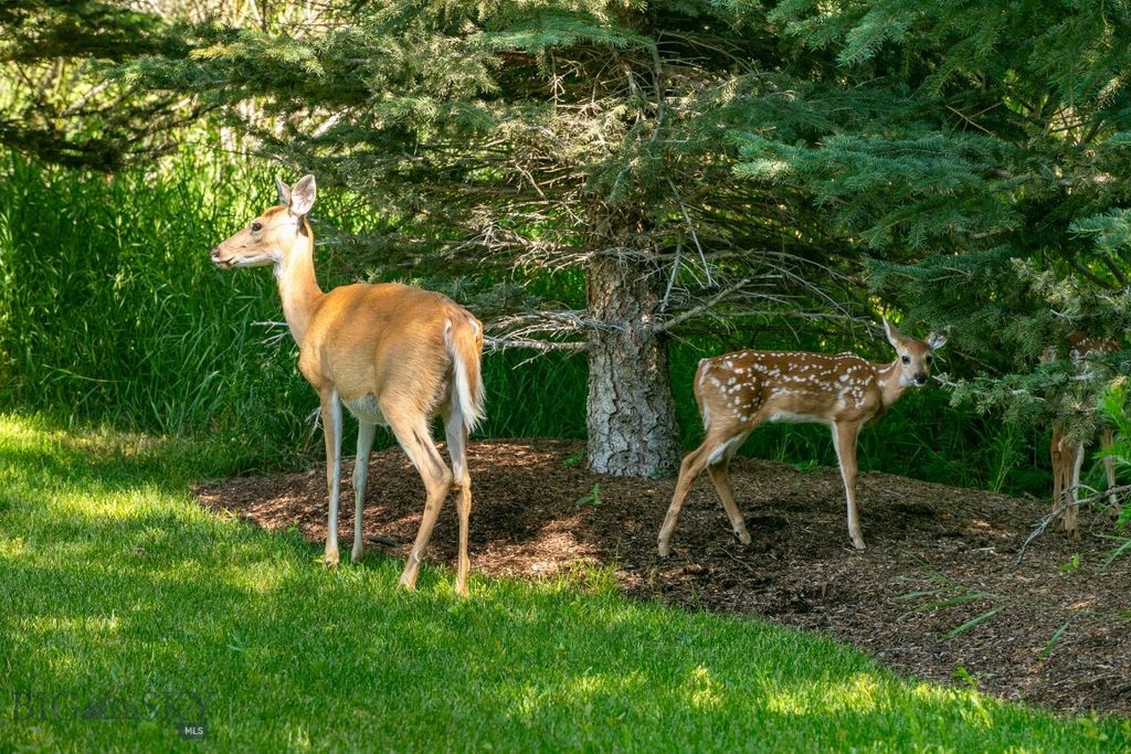 30 Gardner Park, Bozeman, MT 59715 photo 59