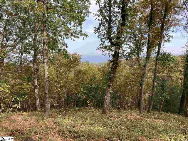 215 Yellowroot Lane, Landrum, SC 29356