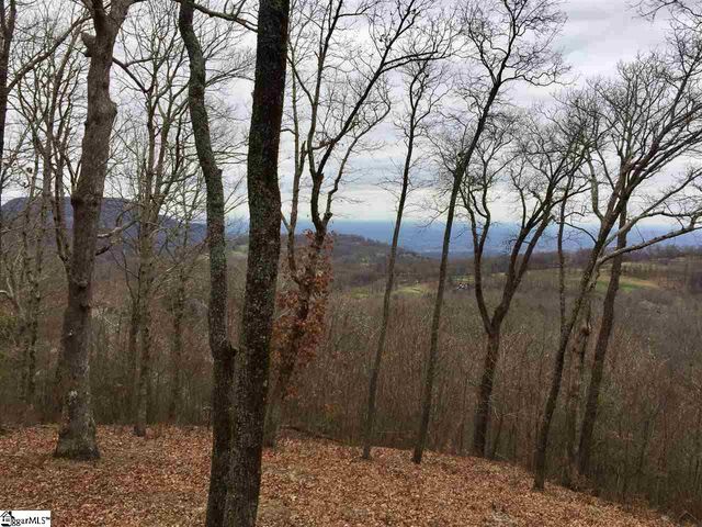 215 Yellowroot Lane, Landrum, SC 29356